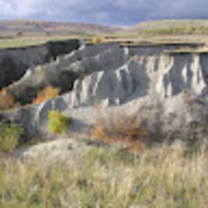 Meet your Posher, Tyree